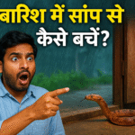 सांप की ओर देखते हुए आदमीं
