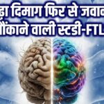 दिमाग की उम्र बढ़ना और FTL1 प्रोटीन का असर"
